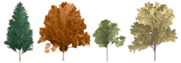 set of watercolor green tree with 4 different colors isolated on white background. PNGs transparent background, suitable for facade, section, graphic design of students, architecture, and landscape