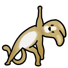 yoga dog