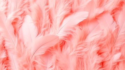 Light pink feather as a background, full frame, copy space.