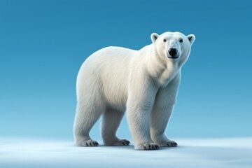 Polar bear, photorealistic, solid light blue background - obrazy, fototapety, plakaty