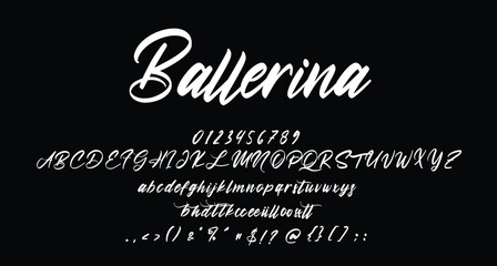 Ballerina Beauty Script Handwritten font Best Alphabet Alphabet Brush Script Logotype Font lettering handwritten