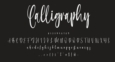 Fototapeta na wymiar Calligraphy elegant Signature font Best Alphabet Alphabet Brush Script Logotype Font lettering handwritten