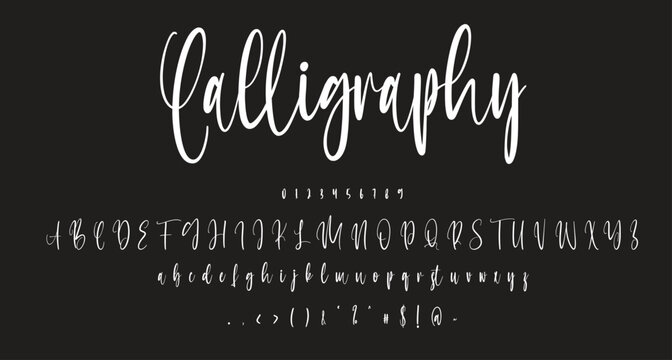 Calligraphy elegant Signature font Best Alphabet Alphabet Brush Script Logotype Font lettering handwritten