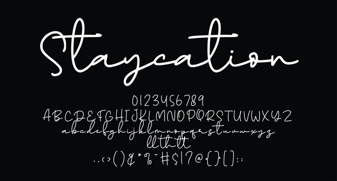 Staycation Beauty Monoline Script font Best Alphabet Alphabet Brush Script Logotype Font lettering handwritten
