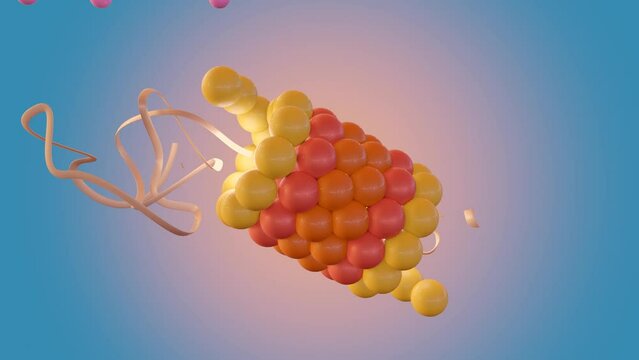 Proteasome is a molecular machine for breaking down proteins called proteolysis, only target proteins that have been marked for destruction called ubiquitin to the target protein, 3d animation