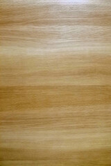 ナチュラル色の扉