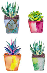 Set of aloe vera plants and other succulents, colorful potted plants cutout isolated on white or transparent background png, southwestern boho design elements.