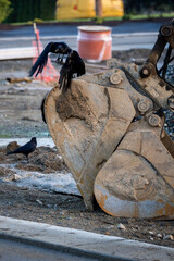 Two crows perched on an excavator attachment looking at the heavy equipment of a new home site, one...