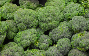 fresh green broccoli as vegetable background