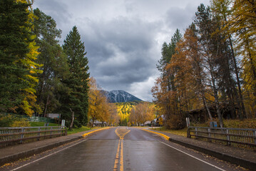 Empty Road Into Apgar