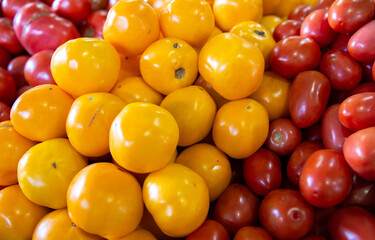 Bunch of colorful tomatoes