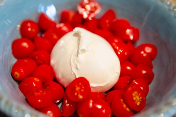 Fresh burrata with tomatoes
