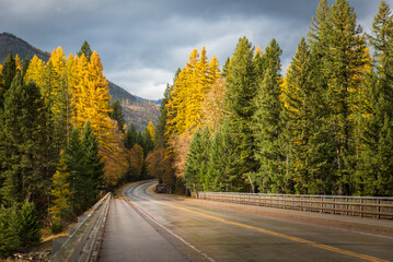 Road Into Glacier National Park - Powered by Adobe