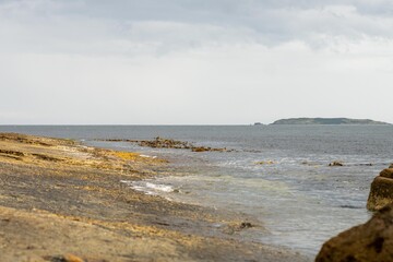 flat rocky coastline by the ocean in tasmania australia
