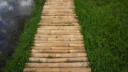 bamboo path in the middle of rice fields