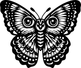 Owl Butterfly icon 9