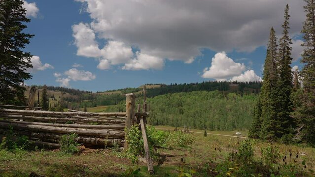 A Corral Nestled Amid Coniferous Trees in the Forest - Timelapse
