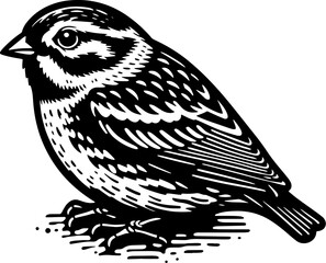 Ortolan Bunting icon 13