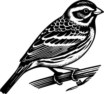Ortolan Bunting icon 7