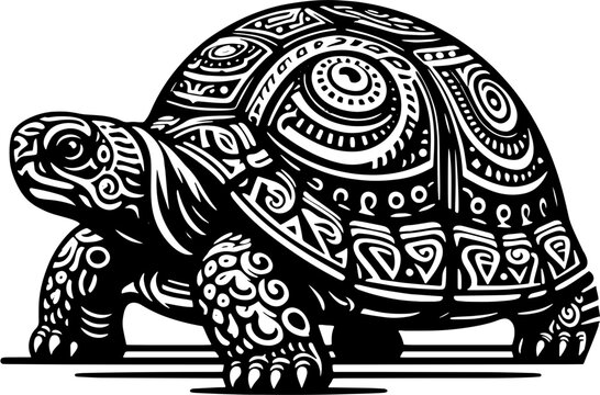 Ornate Box Turtle icon 13