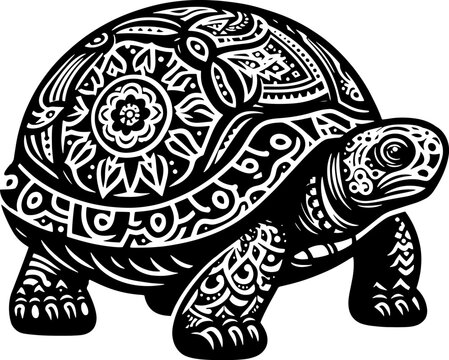 Ornate Box Turtle icon 10