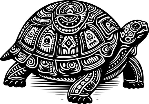 Ornate Box Turtle icon 3