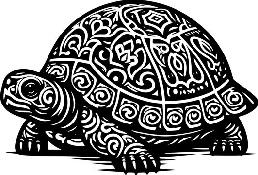 Ornate Box Turtle icon 4
