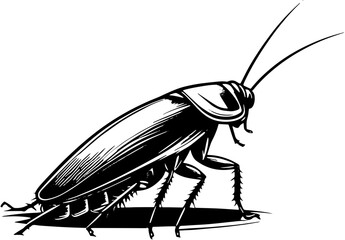 Oriental Cockroach icon 1 - obrazy, fototapety, plakaty