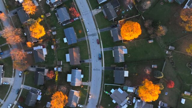 Top down view of American neighborhood during autumn. Quaint houses highlighted by yellow tree foliage in fall.