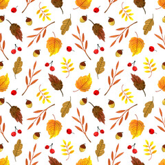 seamless pattern of autumn leaves and berries on a white background