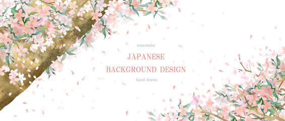 桜, 背景, 水彩, フレーム, 春, 桜吹雪, 和, 花, 花びら, ベクター © surface Change