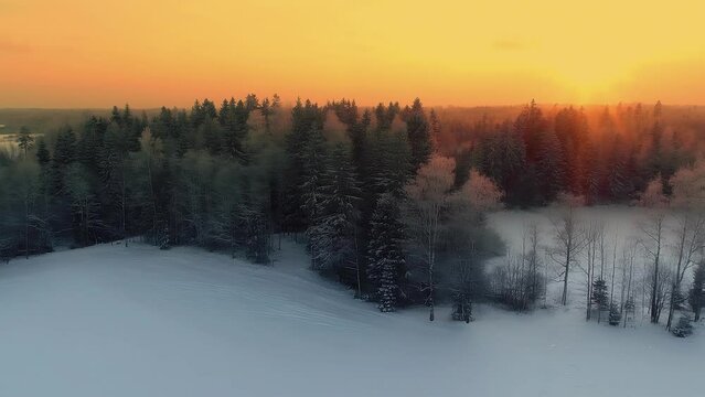 A Smooth Panoramic Shot Of A Forest Landscape Covered In Snow At The Golden Hour