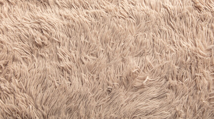 Beige shag carpet as an abstract background. Texture
