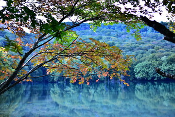秋の始まり　静かな水面