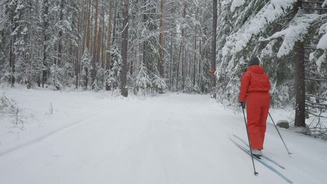 Woman in red sport clothes skiing in beautiful snowy winter forest.