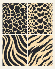 Pattern shape collection textile wild animal and nature lines stripes artwork illustration vector