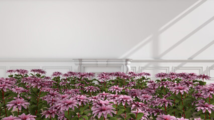 Flower in the room. 3D illustration, 3D rendering	
