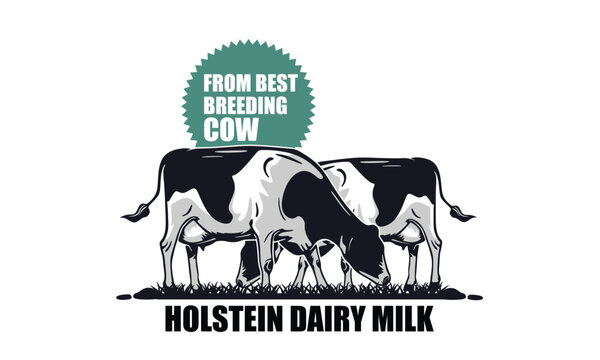 HOLSTEIN DAIRY MILK COW LOGO, silhouette of great and healthy cattle vector illustrations