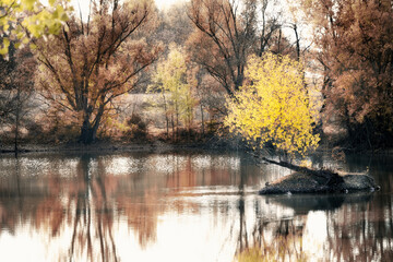 Magnifiques couleurs jaunes et oranges sur le lac du Parc de la Lère à Caussade