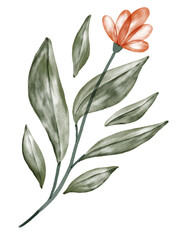 Fototapeta na wymiar Watercolor Red Flower Graphic Element
