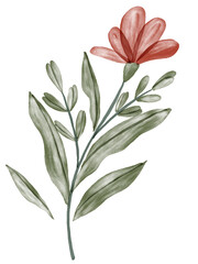 Watercolor Red Flower Graphic Element