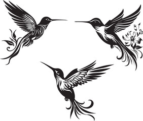 Set of hummingbirds or silhouettes of birds on white background