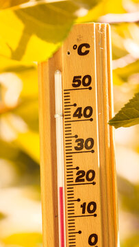 Isolated thermometer shows 20 degrees Celsius cold temperature in autumn season. Yellow, green, brown tree leaves in nature forest background. Concept global climate change and cooler weather on Earth