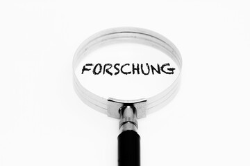 Forschung im Fokus