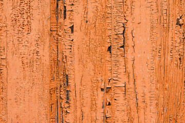 The background of the wall with the texture of boards painted with orange paint