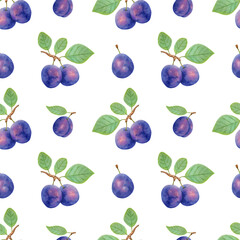 Seamless fruit pattern purple plums with leaves.Ripe fruits for healthy eating.Botanical illustration with markers and watercolors.Design element. seamless background of plums.Hand drawn illustration.