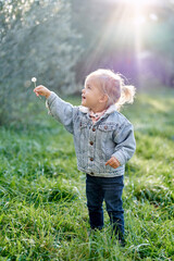 Little smiling girl stands in a sunny park and holds out a dandelion to the side