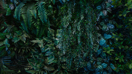 Group of dark green tropical leaves background, Nature Lush Foliage Leaf Texture, tropical leaf.
