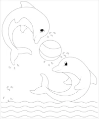 Foto op Canvas Cute dolphin playing with others  colouring book page for kids  © salek