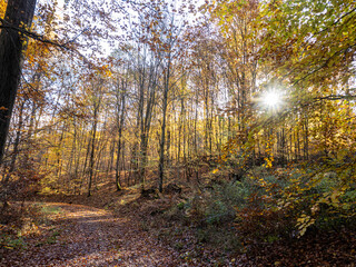 Obraz premium Herbst